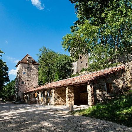 Chateau De Marigna Marigna-sur-Valouse Exterior foto