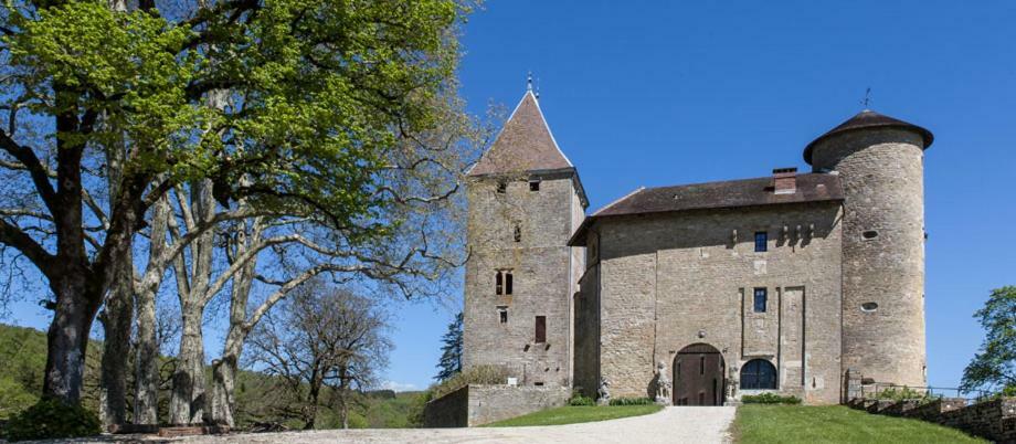 Chateau De Marigna Marigna-sur-Valouse Exterior foto