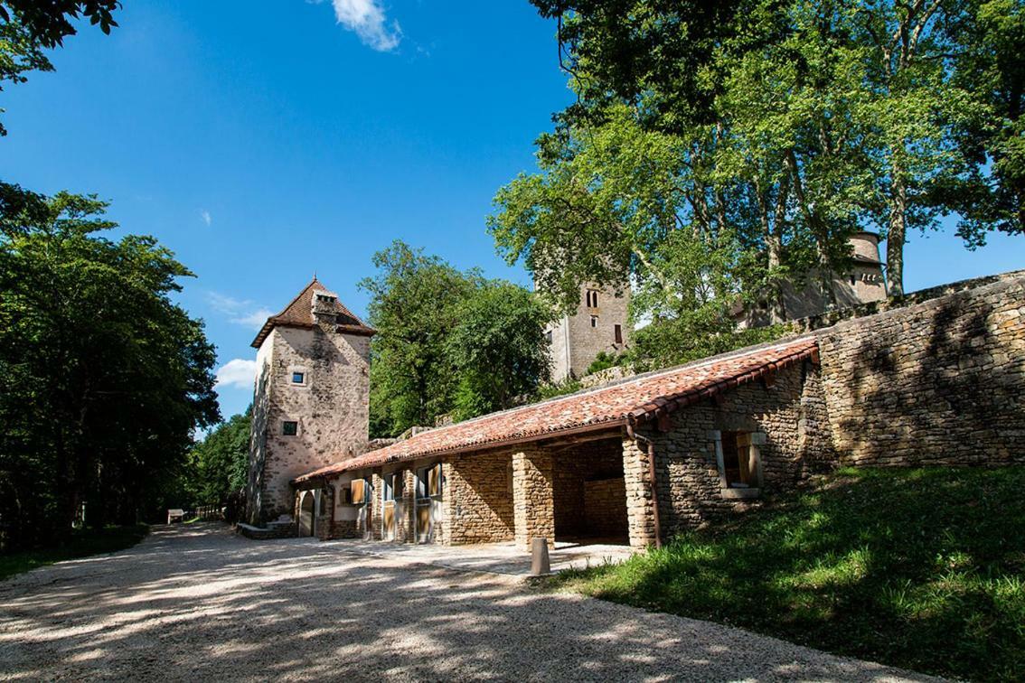 Chateau De Marigna Marigna-sur-Valouse Exterior foto