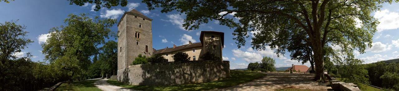 Chateau De Marigna Marigna-sur-Valouse Exterior foto