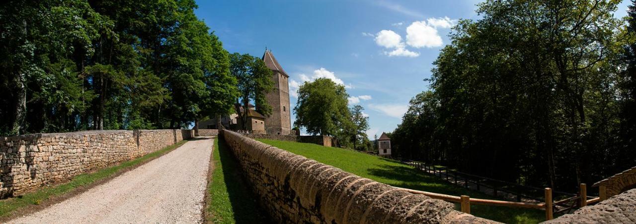 Chateau De Marigna Marigna-sur-Valouse Exterior foto