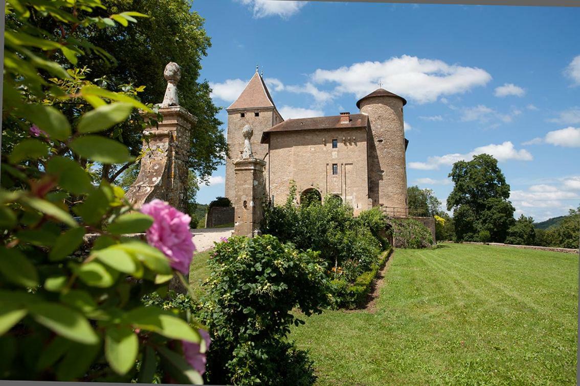 Chateau De Marigna Marigna-sur-Valouse Exterior foto