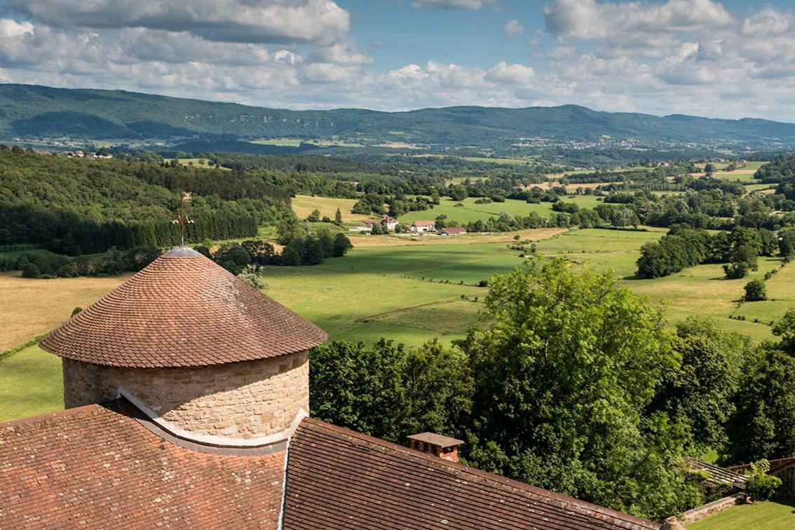 Chateau De Marigna Marigna-sur-Valouse Exterior foto